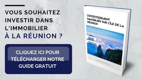 investir dans l'immobilier seul